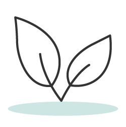 Eco-friendly icon