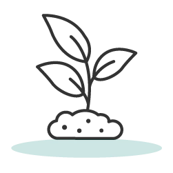 Organically grown icon